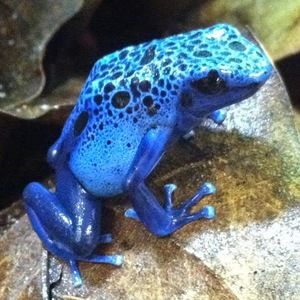 Meet your Posher, Erin